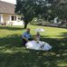 Judit Schauer - Facebook