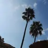 judithschwarzbauer - @judithschwarzbauer - TikTok