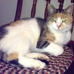Judith Schell - @judithschell7 - Instagram