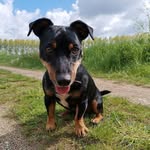 Judith Looijenstein-Schipper - @judith_looijenstein - Instagram