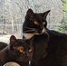 Judi Schnell - Facebook