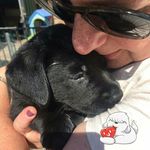Judith Schouten-bosman - @schoutenbosman - Instagram