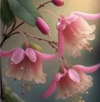 Judith Schram - Facebook