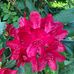 Judith Schumann - Facebook