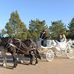 Eugene &amp; Judith Seibert - Facebook