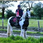 Judith Sharp - @judithsharp77 - Instagram