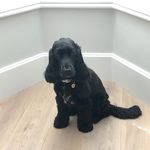 Judith Sharp - @judithsharp3269 - Instagram