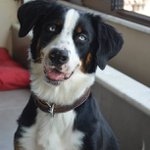 Judith Sheppard - @lifetarythenorn - Instagram