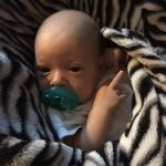 Judith Sheppard - @sheppardjudith - Instagram