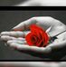 Judith Shipman - Facebook