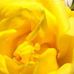 Judith Slaughter - Facebook