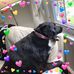 Judith Spillane - Facebook