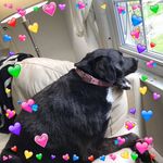 Judith Spillane - @spillanejudith - Instagram