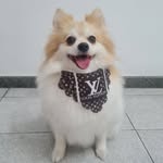 Judith Spitz - @judithmaria_spitz - Instagram