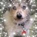 Judith Spring - Facebook