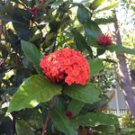 Judith Spry - @judithspry - Instagram