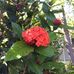 Judith Spry - Facebook