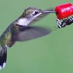 Judith Spurlock - @raritywilkinson - Instagram