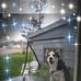Judith Stabler - Facebook