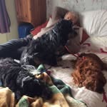 Judi Steele - @judithsteele42 - Instagram