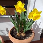 Judith Stephan - Facebook