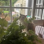 Judith Ann Stock - @judestock - Instagram
