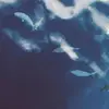 JudithStocker3211 - @judithstocker3211 - TikTok