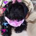 Judith Stork - Facebook