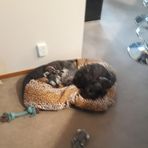 Judith Storr - Facebook