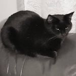 Judith Storry - @judithstorry - Instagram