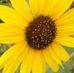 Judith Streeter - Facebook