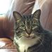 Judith Streeter - Facebook