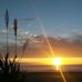 Judith Streit - Facebook