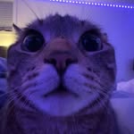 @judithstreit._ - Instagram