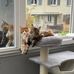 Judith Stumpf - Facebook
