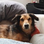 Stutz Judith - @stutzjudith - Instagram