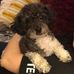 Judith Suttera - Facebook