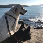 Judith Sylvia Maccormick - @judithsylviamaccormick - Instagram