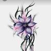judithlibbytaber - @judithlibbytaber - TikTok