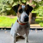 Judith Tait - @judithtait - Instagram