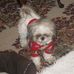 Judi Tedesco - Facebook