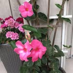 Judith Terrill - @terrilljudith - Instagram