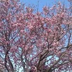 Judi Timmons - @timmonsjudi - Instagram