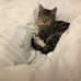 Judith Toland - Facebook
