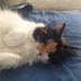 Judith Tousignant - Facebook