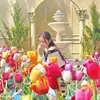 judith_tran - @judith_tran - TikTok