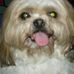 Judith Upton - Facebook