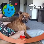 Judith Vance - @judithgvance - Instagram