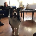 Judith Vance - @javance1 - Instagram