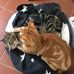 Judith Varley - Facebook